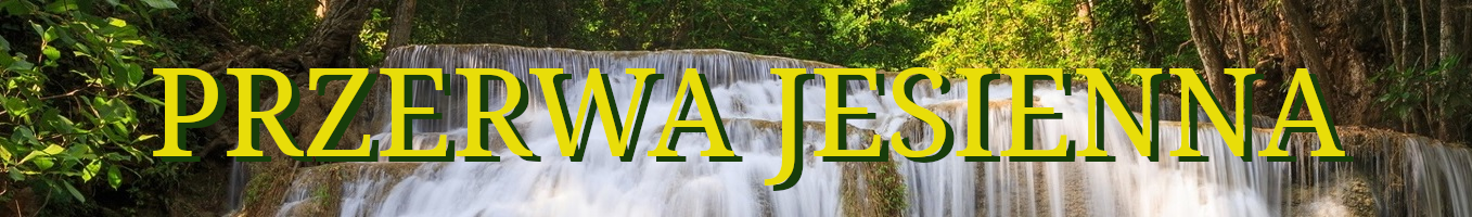 UŚMIECH NATURY SKLEP Z ZIOŁAMI